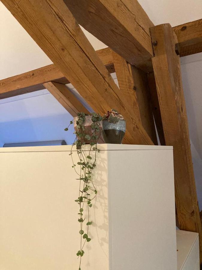 Ferienwohnung Burg Murten Bagian luar foto